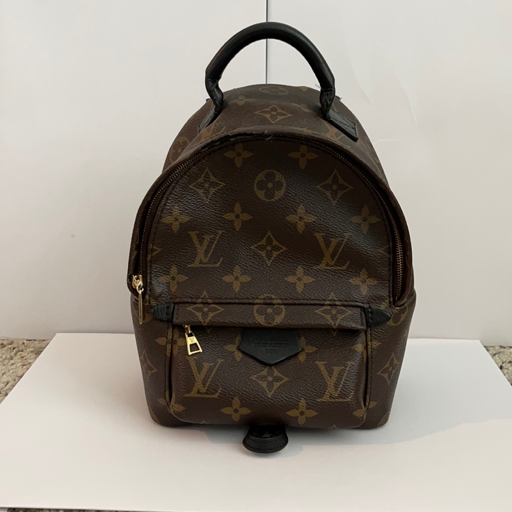 Louis Vuitton Palm Springs Mini Backpack